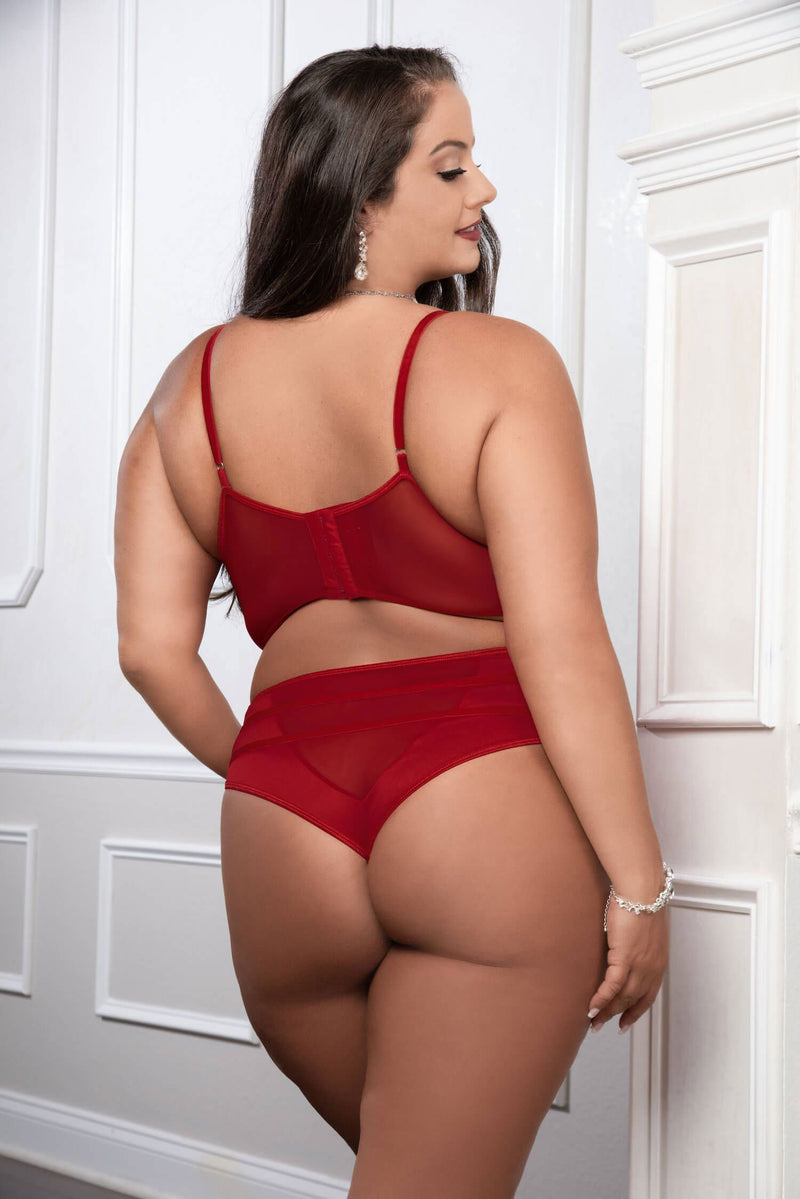 Cinnamon Red Two Piece Satin Bra and High Waist Panty Curvy Size