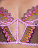 Strawberry Sherbet Two Piece  Bustier Short Set