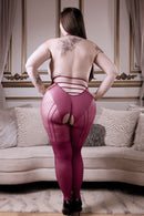 Bad Habit Crotchless Harness Stockings and Pasties Set Curvy Size